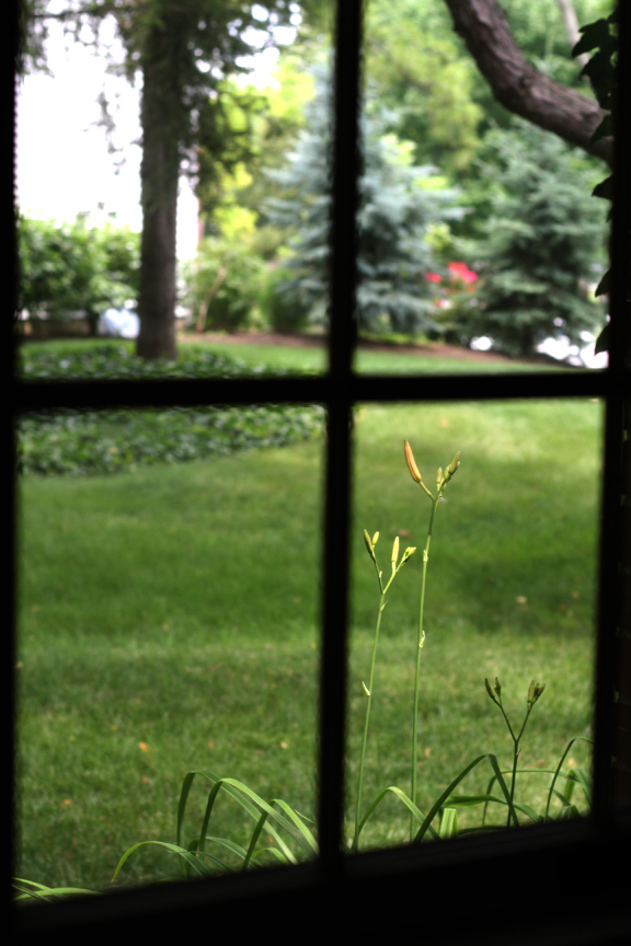 looking-out-window