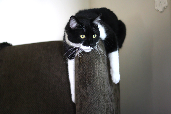 oliver-holding-onIMG_7203
