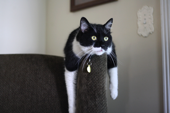 oliver-with-wide-eyes