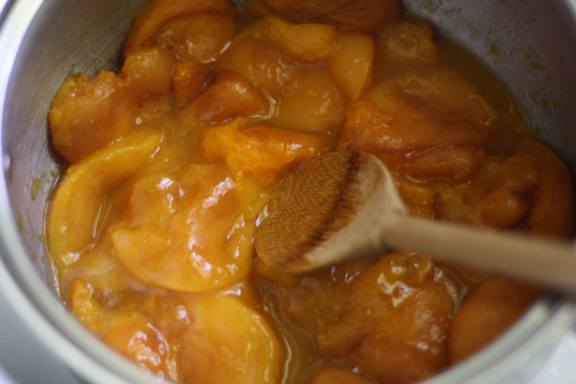 apricots-starting-to-melt