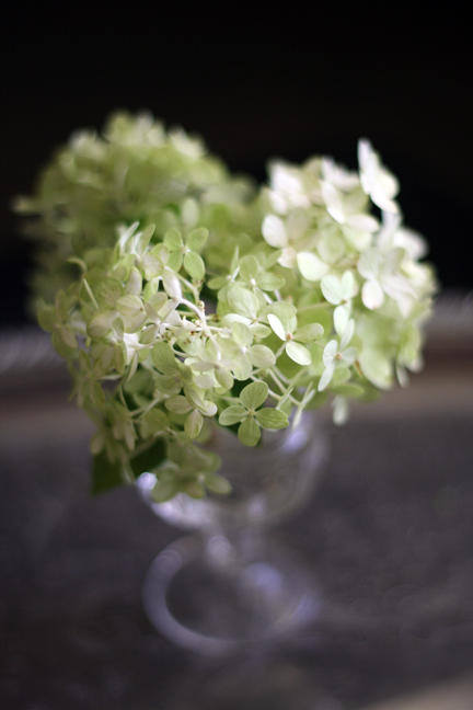 hydrangea-on-tray