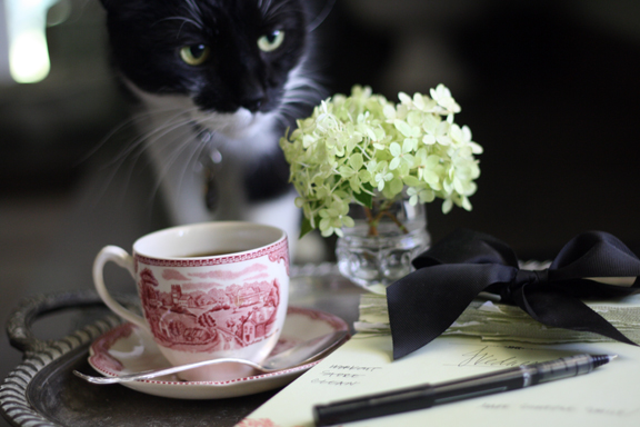 oliver-checking-out-tray
