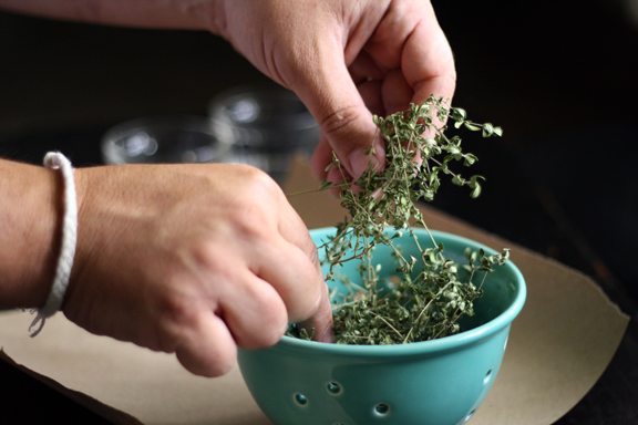 Yanni-grabbing-dried-oregano