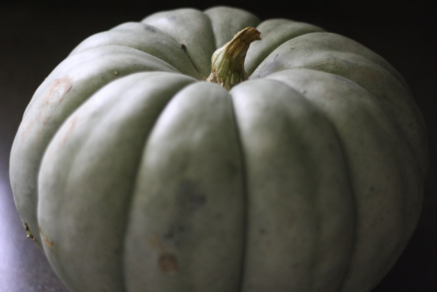 almost-full-shot-green-pumpkin