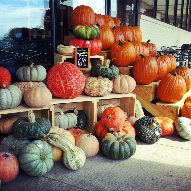 gathering-of-different-pumpkins