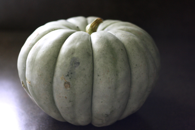 green-pumpkin-lead-in-shot