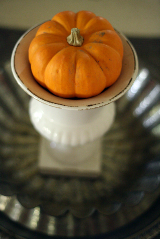 tiny-pumpkin-in-white-urn