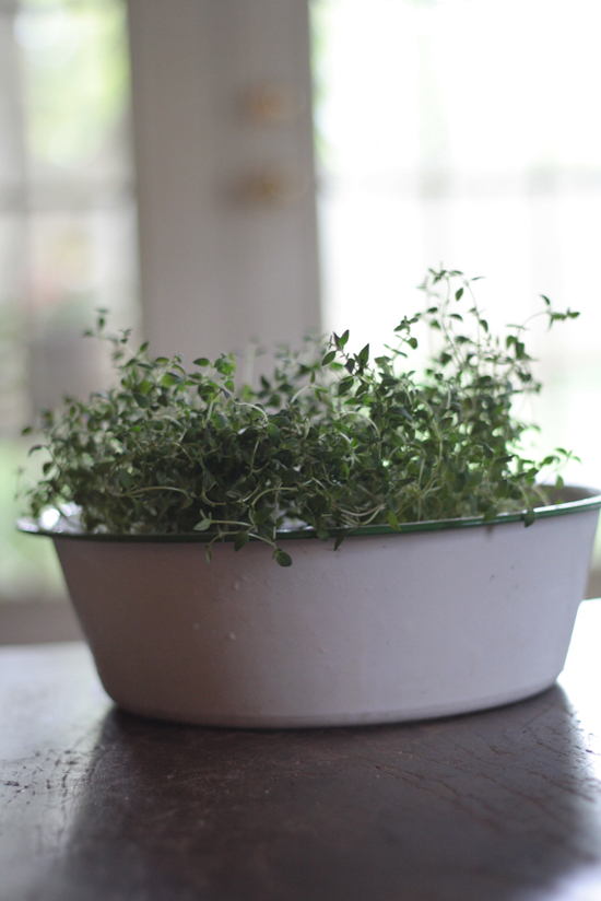 antique-enamel-bowl-herbs-horizntal